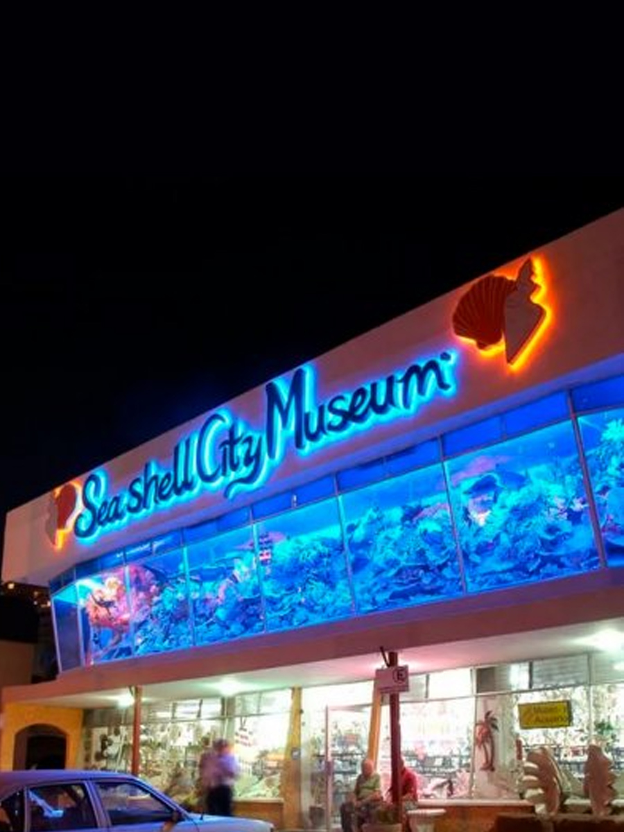 Facade of the Mazatlan Shell Museum, news from Palace Hotels