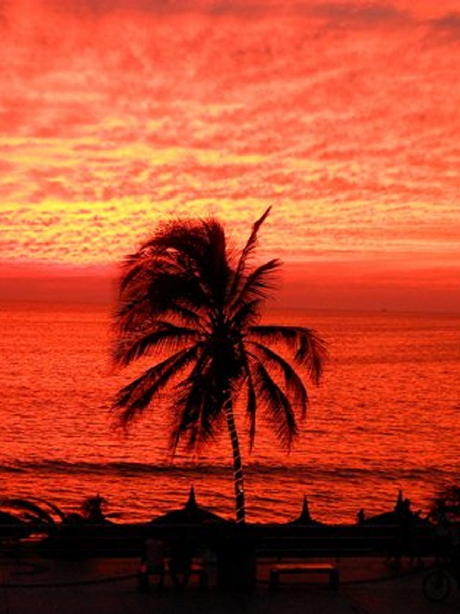 Solar Eclipse 2024 at the Mazatlan beach